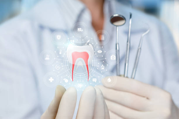 Professional Holistic Dental Care Services in Hamilton College, NY